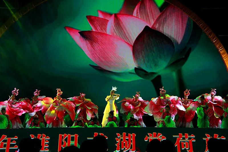 淮阳龙湖风景区荷花盛开,淮阳荷花风景区