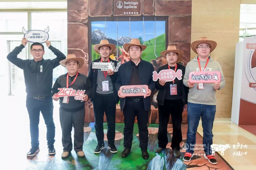 这一次，风口上站的是肉牛