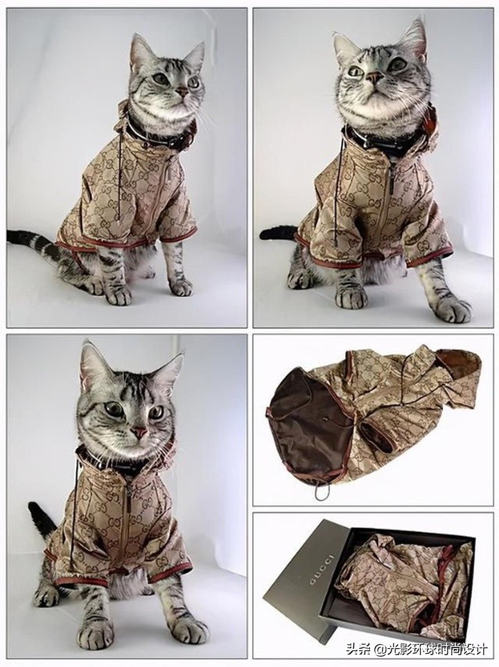 凡尔赛文学背后的秘密,凡尔赛文学大合集