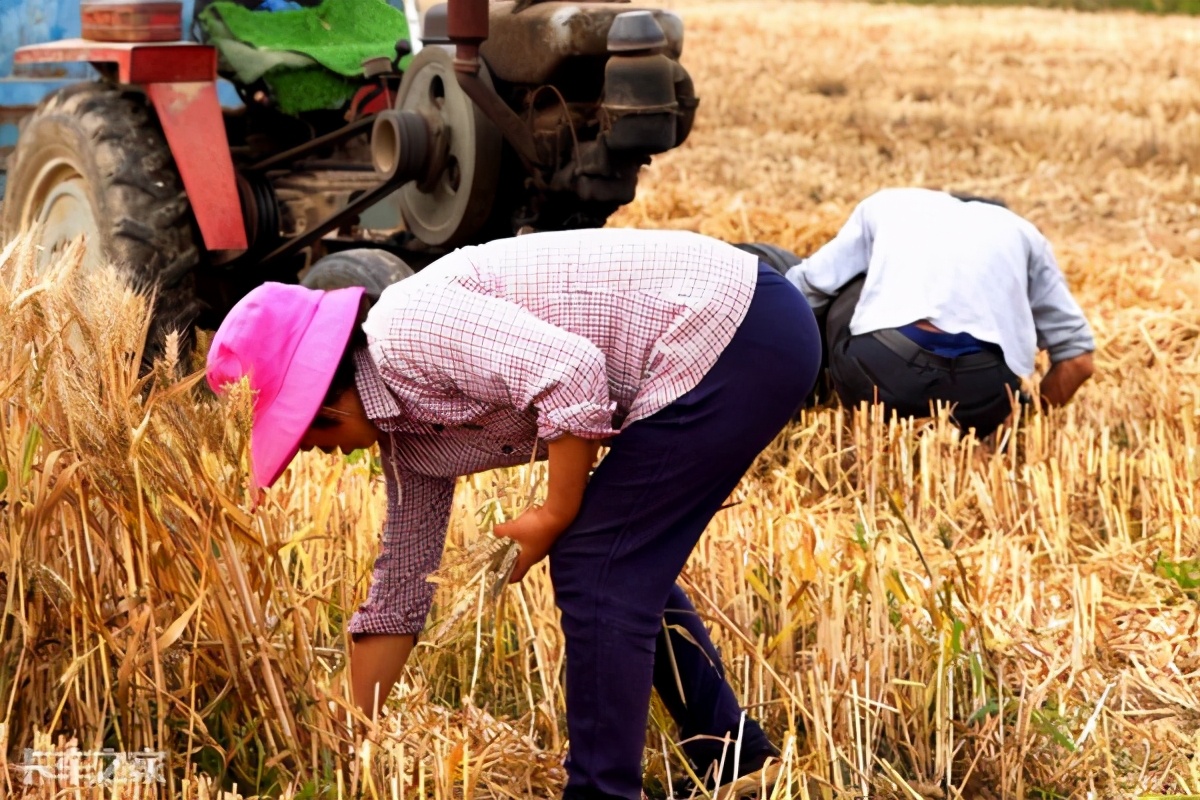 货厢更大动力更强，卧铺变双人床，领航ES5堪称麦客好伙伴
