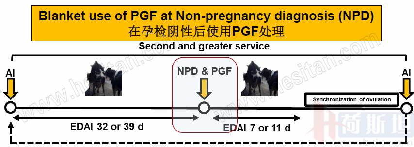 康奈尔大学JulioGiordano:如何通过技术整合优化繁殖性能