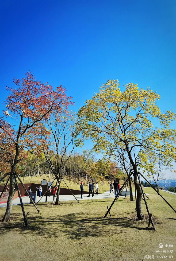 秋之旅免费完整版,秋之旅风景图片