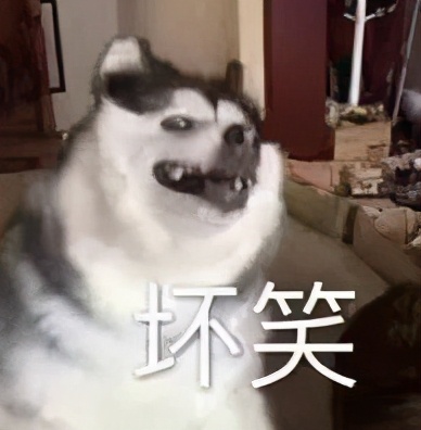 耳朵敏感整个人酥掉,人的耳朵有多脆弱