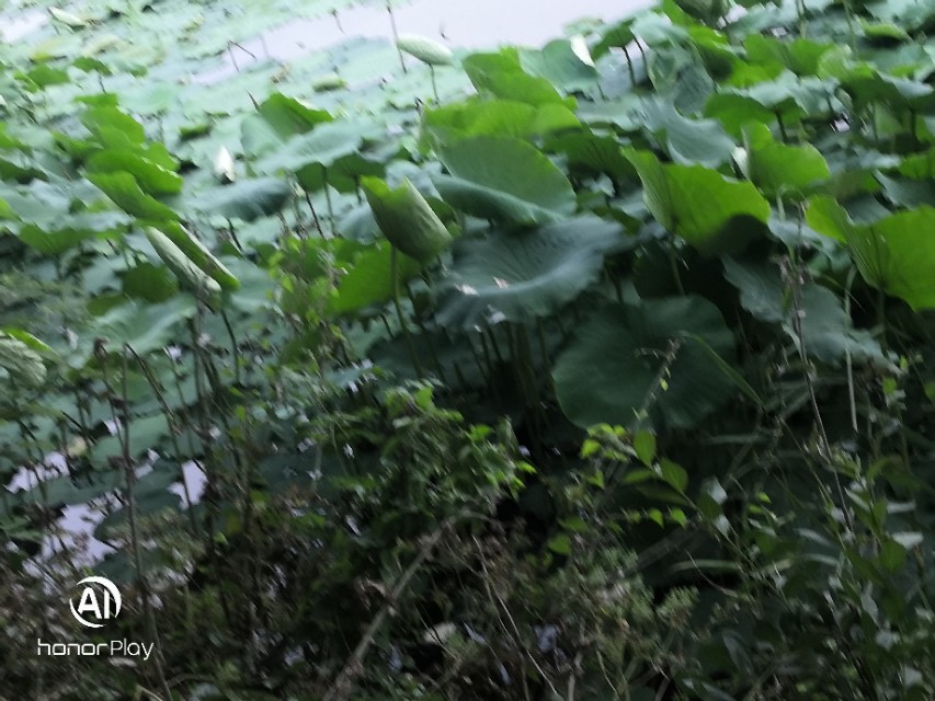 致永远回不去的童年六一儿童节,六一特辑致我们终将逝去的童年