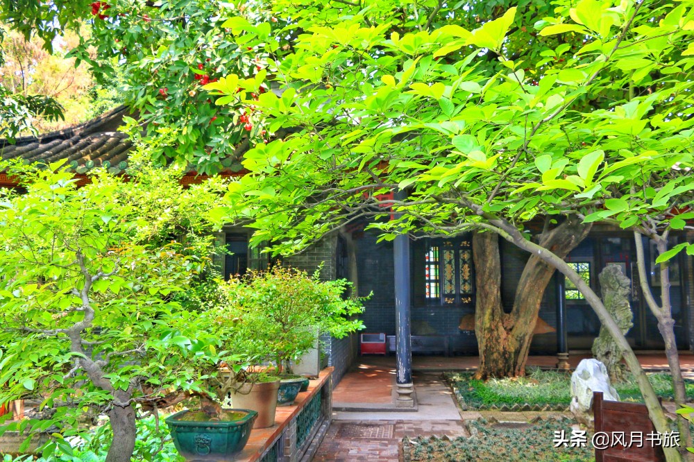 广东佛山百岁名园40年建成,关山月题名,罗哲文称它岭南第一园