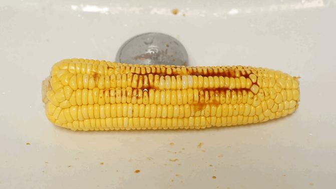 冲牙器台式和便携式哪种好,便携式冲牙器真实评测推荐第一名