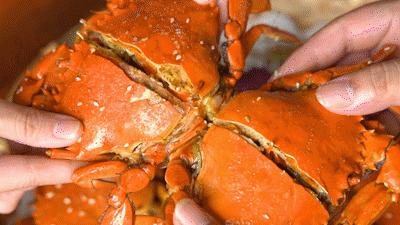 开渔啦一大波海鲜,开渔喽