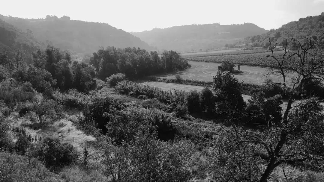 科尔伯,科尔伯山的日文罗马音