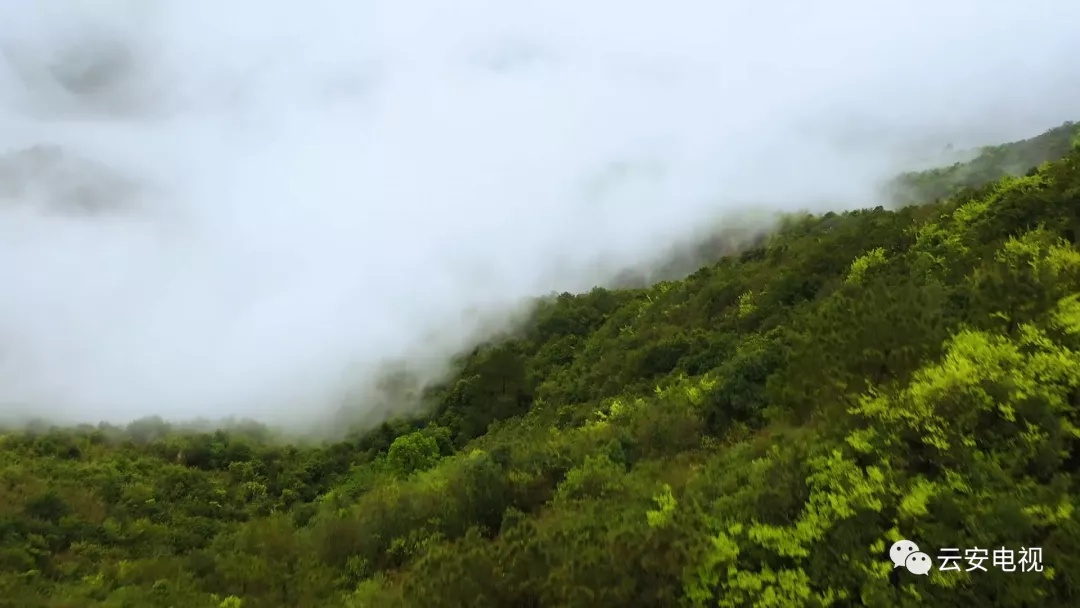 太美了！高村的云海景观恍如人间仙境
