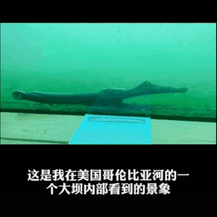 全球旅行攻略干货,全球旅行不为人知的秘密