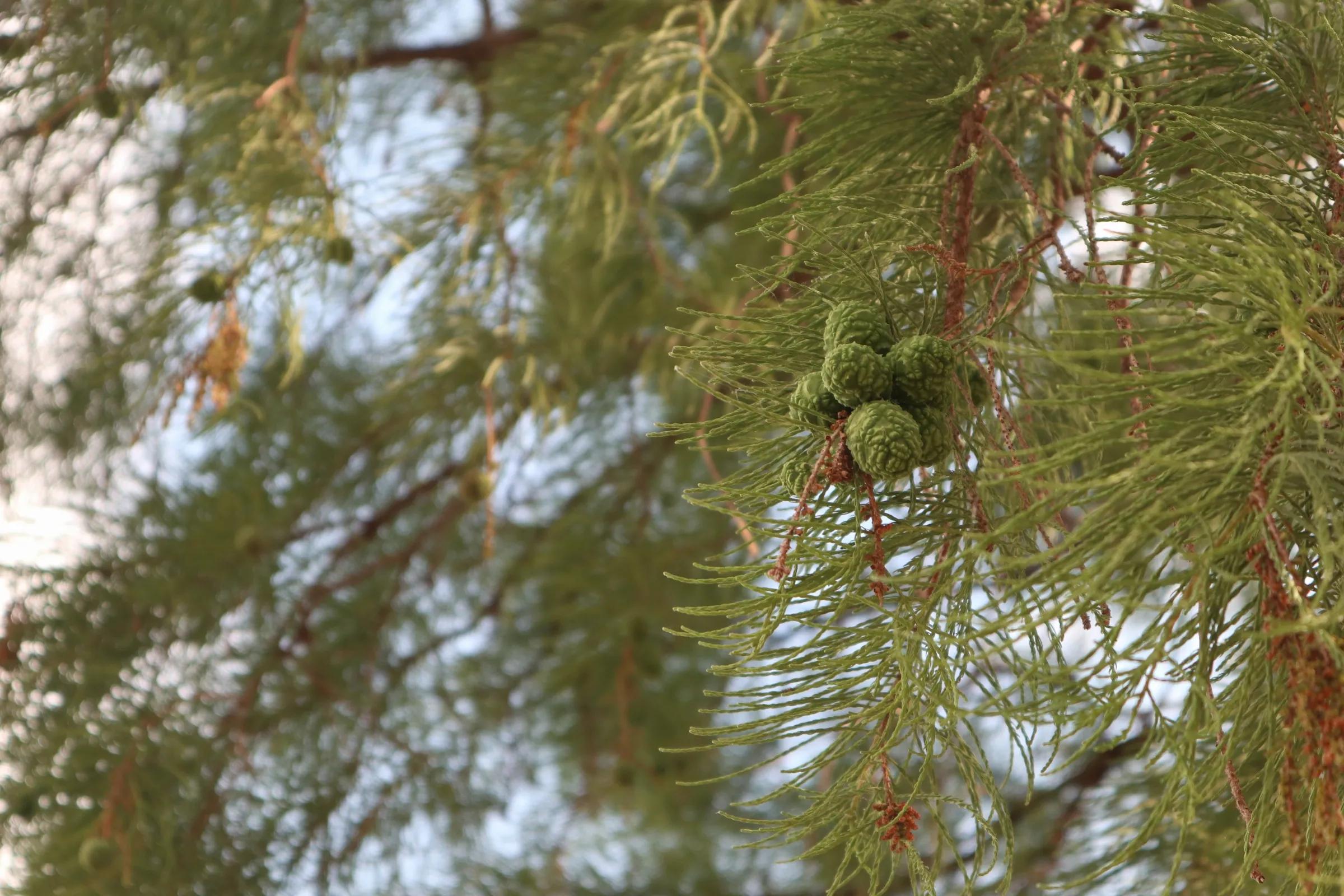 海埂公园环绕航拍视频,昆明海埂公园景点图