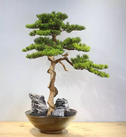 你难道还傻乎乎的认为鲜花比仿真花贵吗？