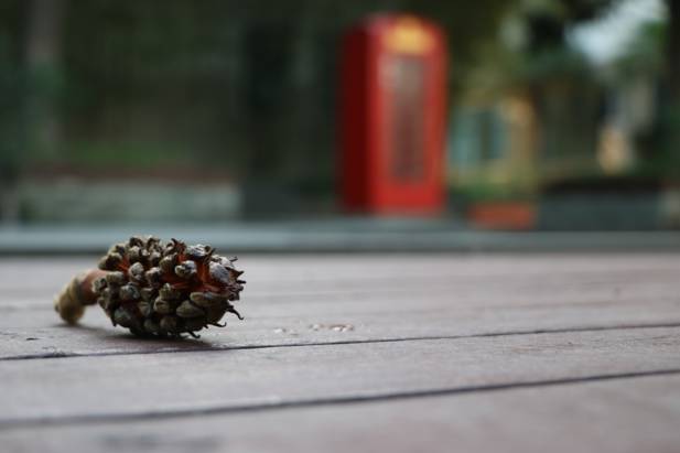 上海回不去的青春,上海市建平中学老照片