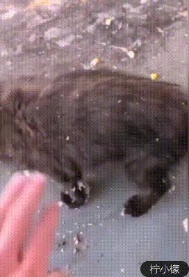 发了仅一人可见的朋友圈,发了个朋友圈仅他可见