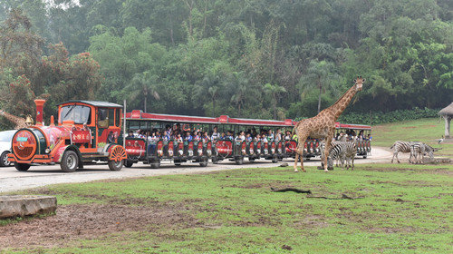 南国7日自然探索、体育运动研学营