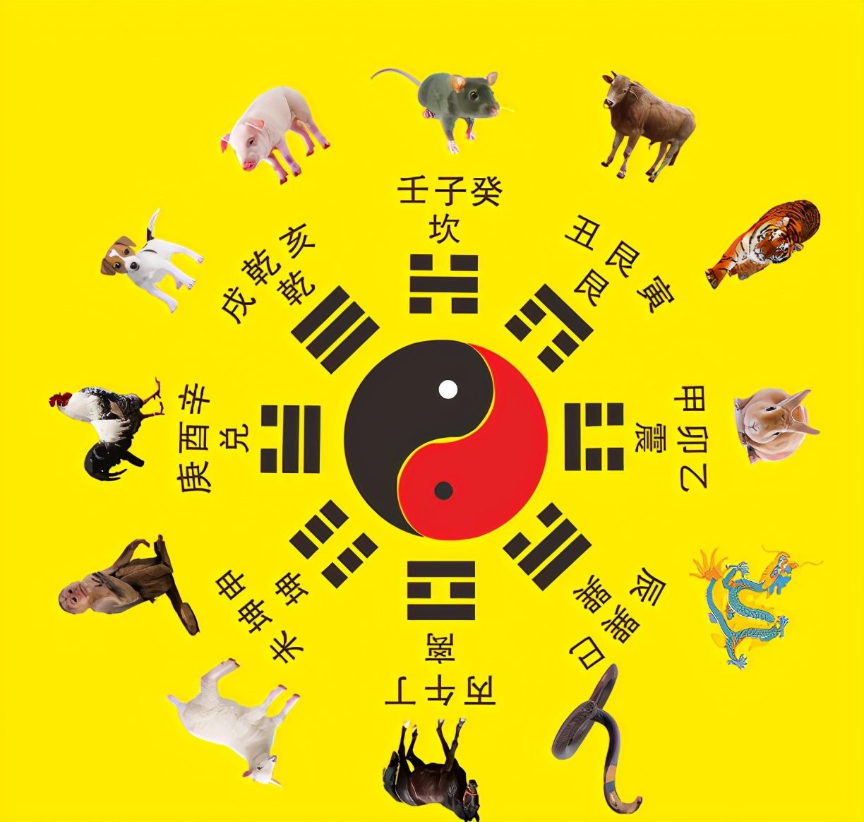 辛丑牛年五行,辛丑年与乙未年相冲吗