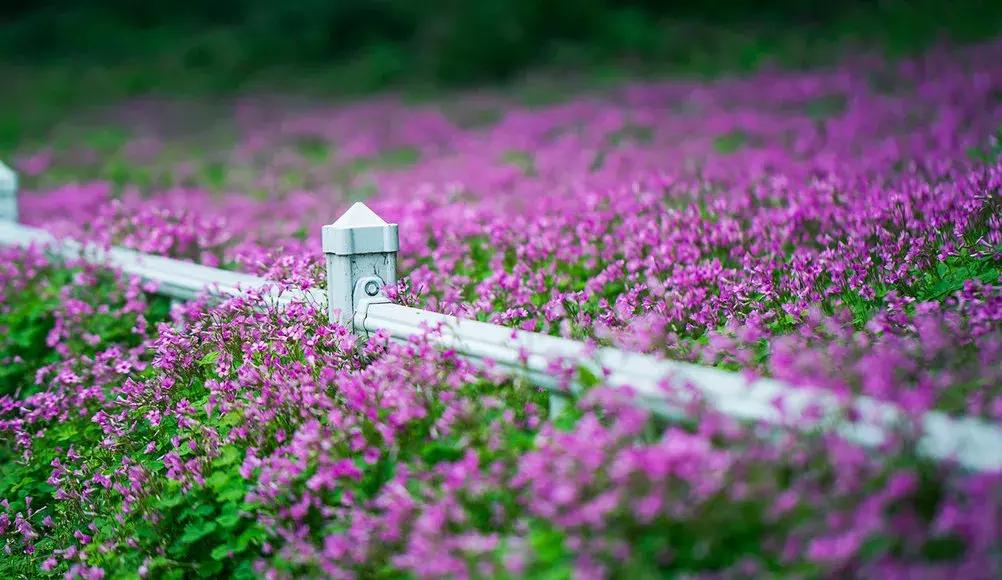 熊继柏纠正对中医的几个错误观念,熊继柏谈中医治疗