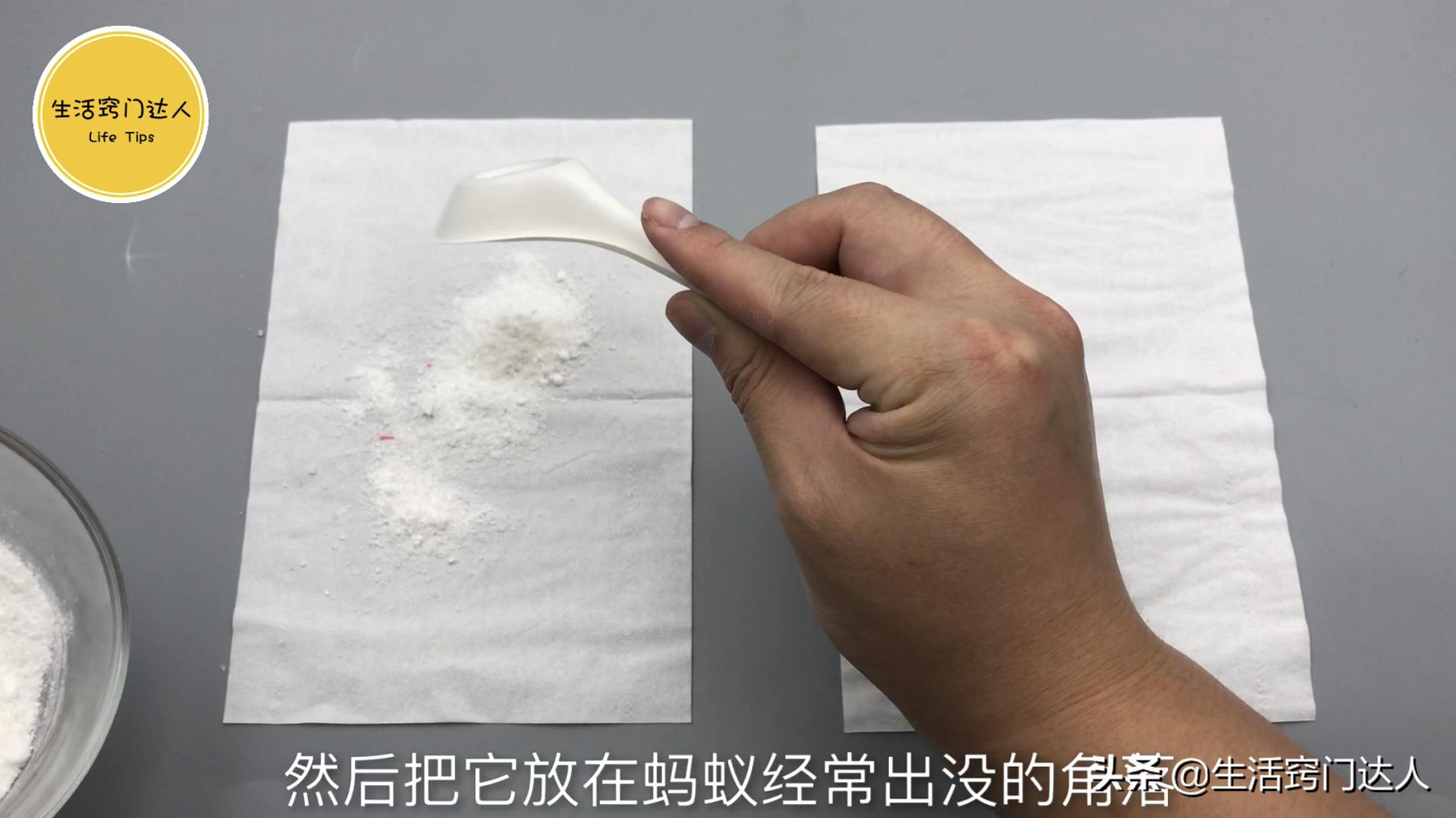 用开水烫蚂蚁有用吗,别用开水烧蚂蚁