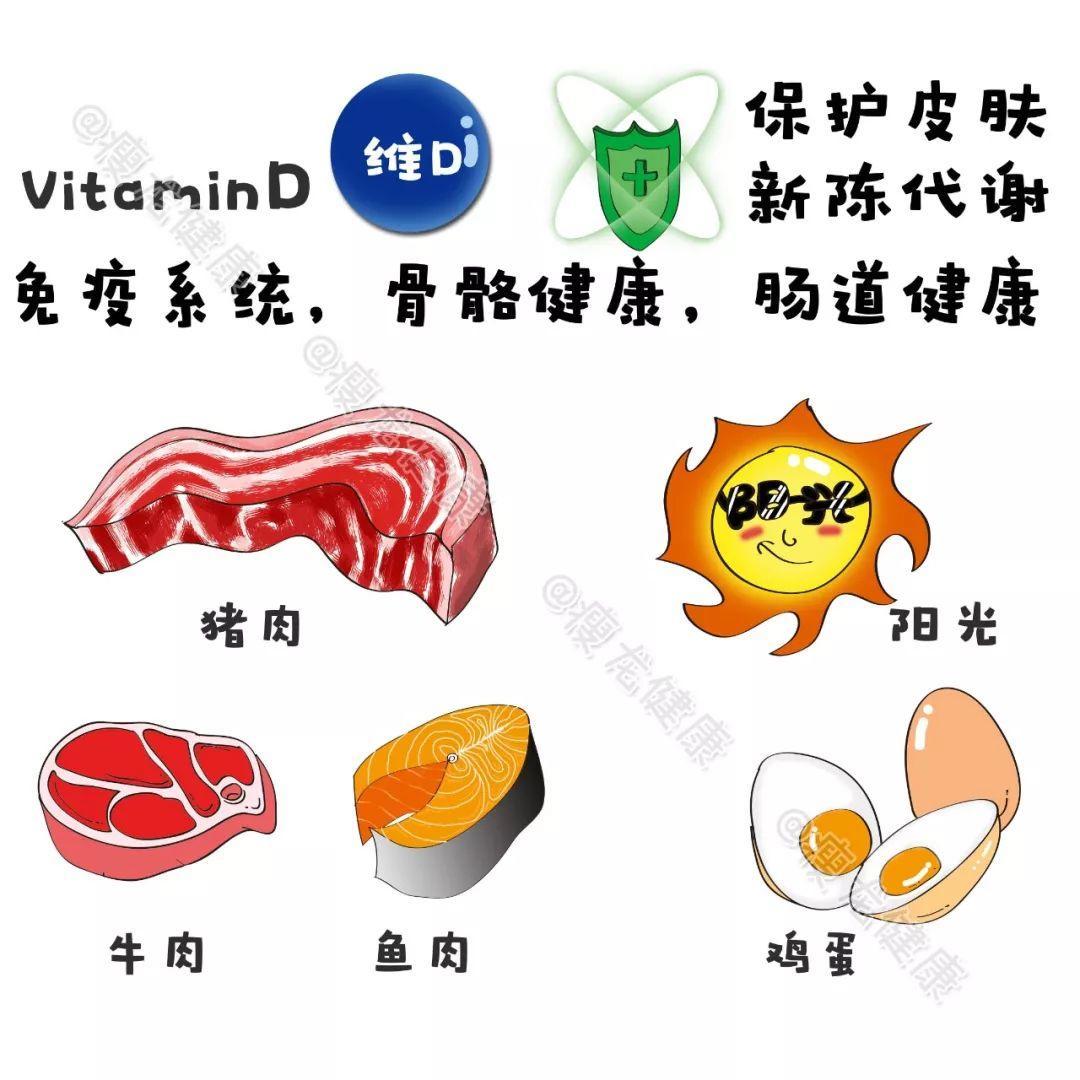 营养密度与能量密度,营养密度这是什么概念