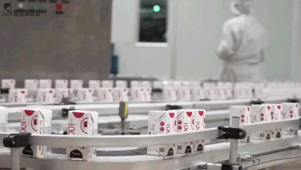 水牛奶和牛奶哪个营养价值高,水牛奶为什么和奶酪一样