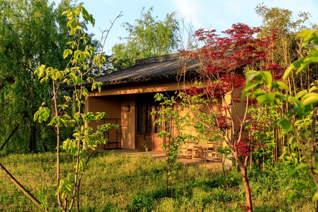 妗愪埂鍚堟偊姹熷崡骞哥鐢熸椿,妗愪埂鍚堟偊姹熷崡鏃呮父鏀荤暐