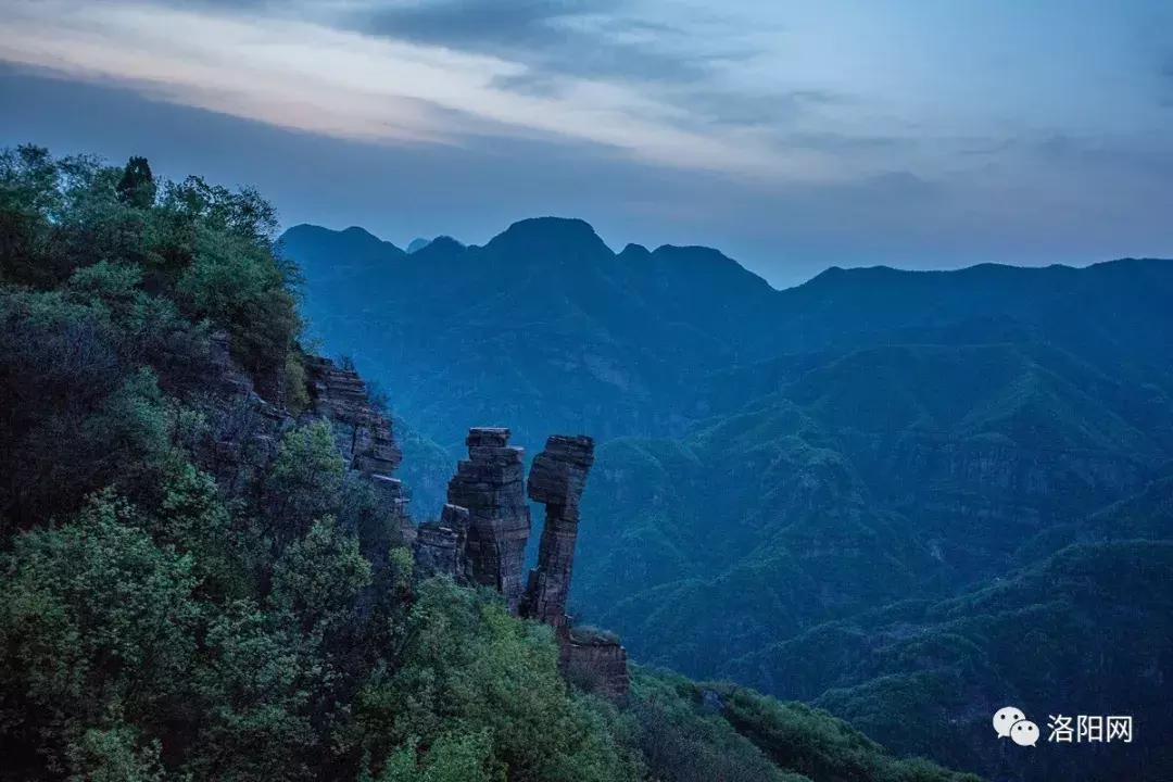 洛阳牡丹花会邀请,洛阳邀请全世界人民看牡丹
