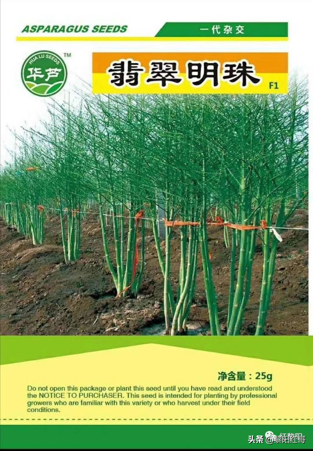 疫路有爱：最美芦笋姐刘海燕叫响鹤壁芦笋品牌