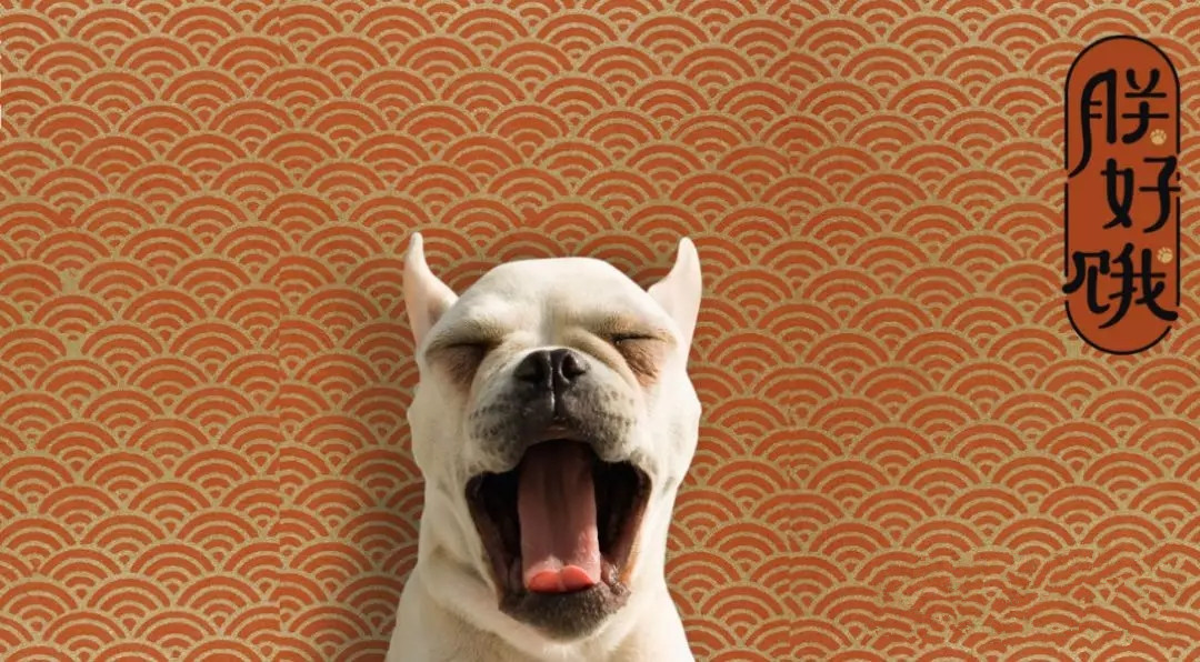 狗狗减脂狗粮怎么吃比较好,狗狗冻干主食狗粮怎么吃