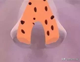 娉曞浗浜虹敤闆呮季,娣辨捣娴锋按鍠烽浘