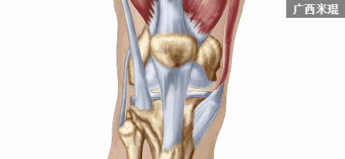 骨科大夫米琨为您详解:关节痛了怎么办?