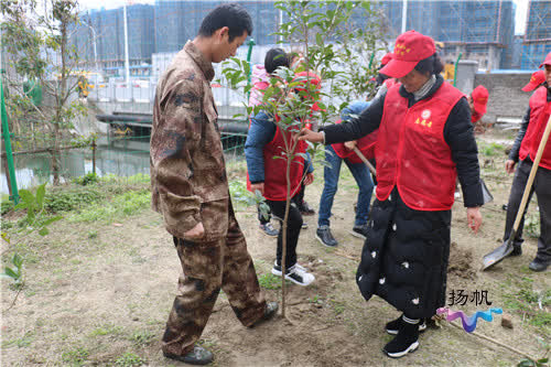 扬州九龙花园社区:绿色文明新起点,共筑社区好人林