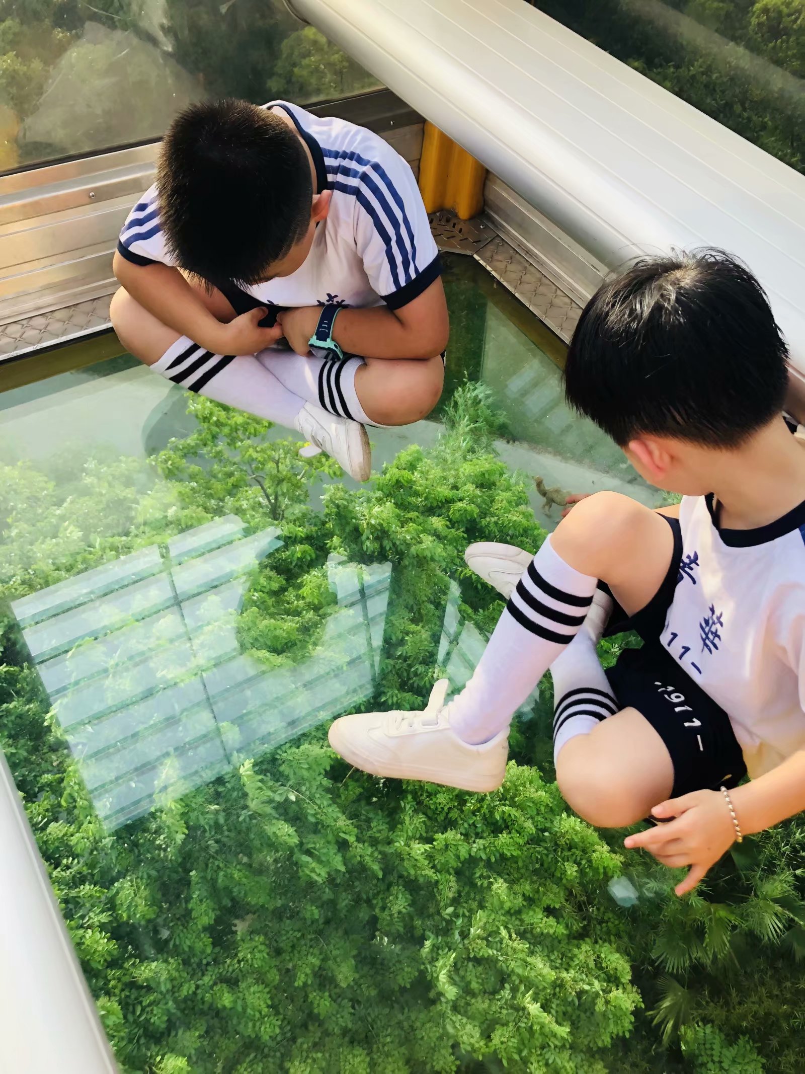 广州长隆野生动物园带娃攻略,带娃广州长隆野生动物园攻略