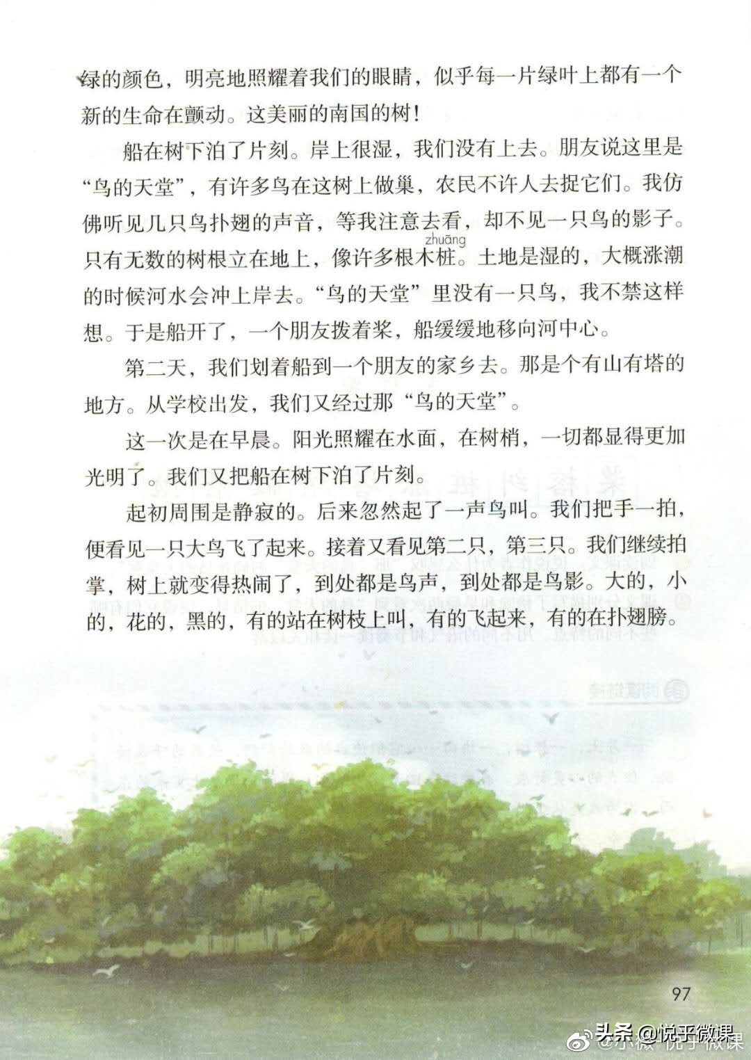 从《美丽的烟山柑子园》看写景习作的常见问题