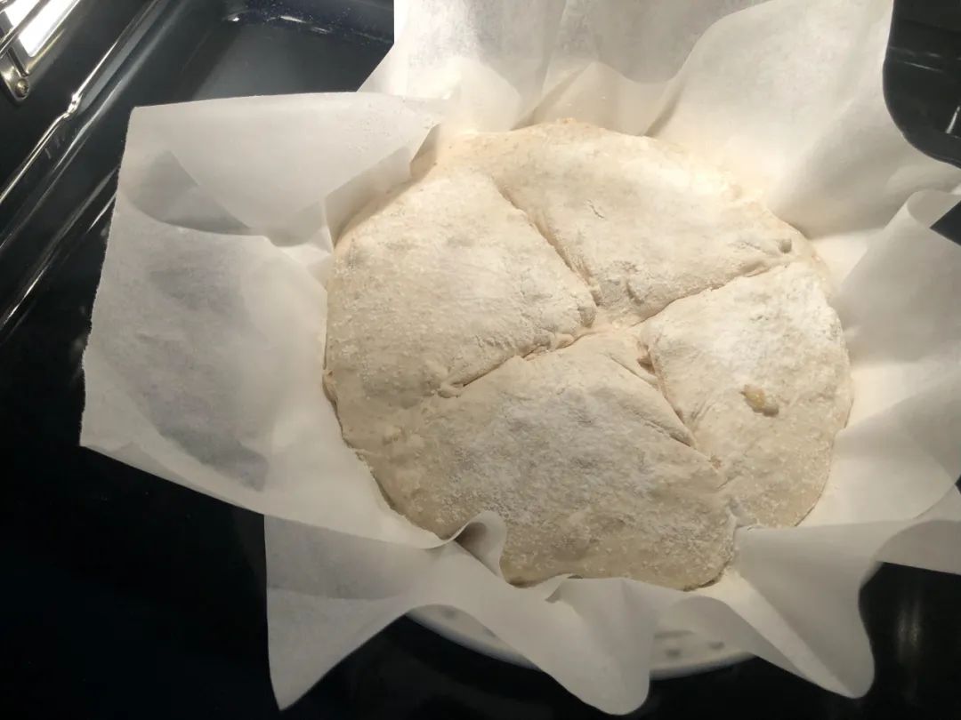 真正好用的蒸汽烤箱,最新款蒸汽烤箱