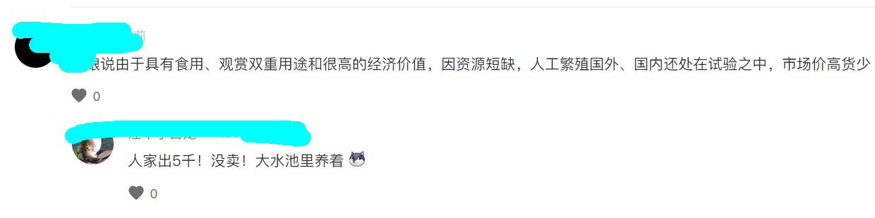 珠江河道出现600斤怪鱼,珠江发现怪鱼是什么鱼