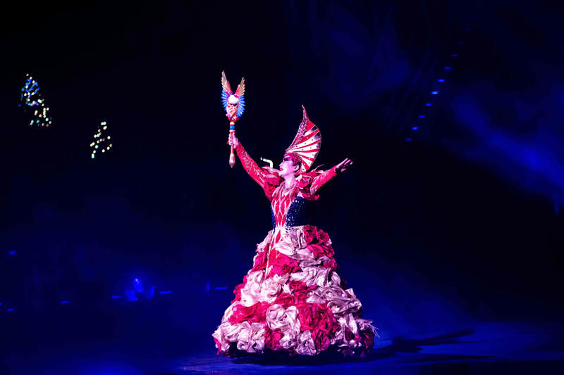 广州长隆野生动物世界的游玩攻略,广州长隆野生动物世界一日游回顾