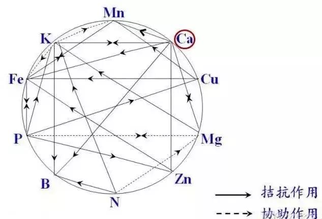 专家介绍天门冬氨酸钙,天门冬氨酸钙优缺点