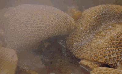 《再创世纪》告诉你，香港顶级富豪鄙视链