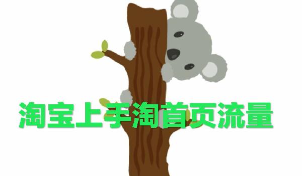 手淘推荐和手淘搜索流量区别,手淘推荐流量比手淘搜索流量大