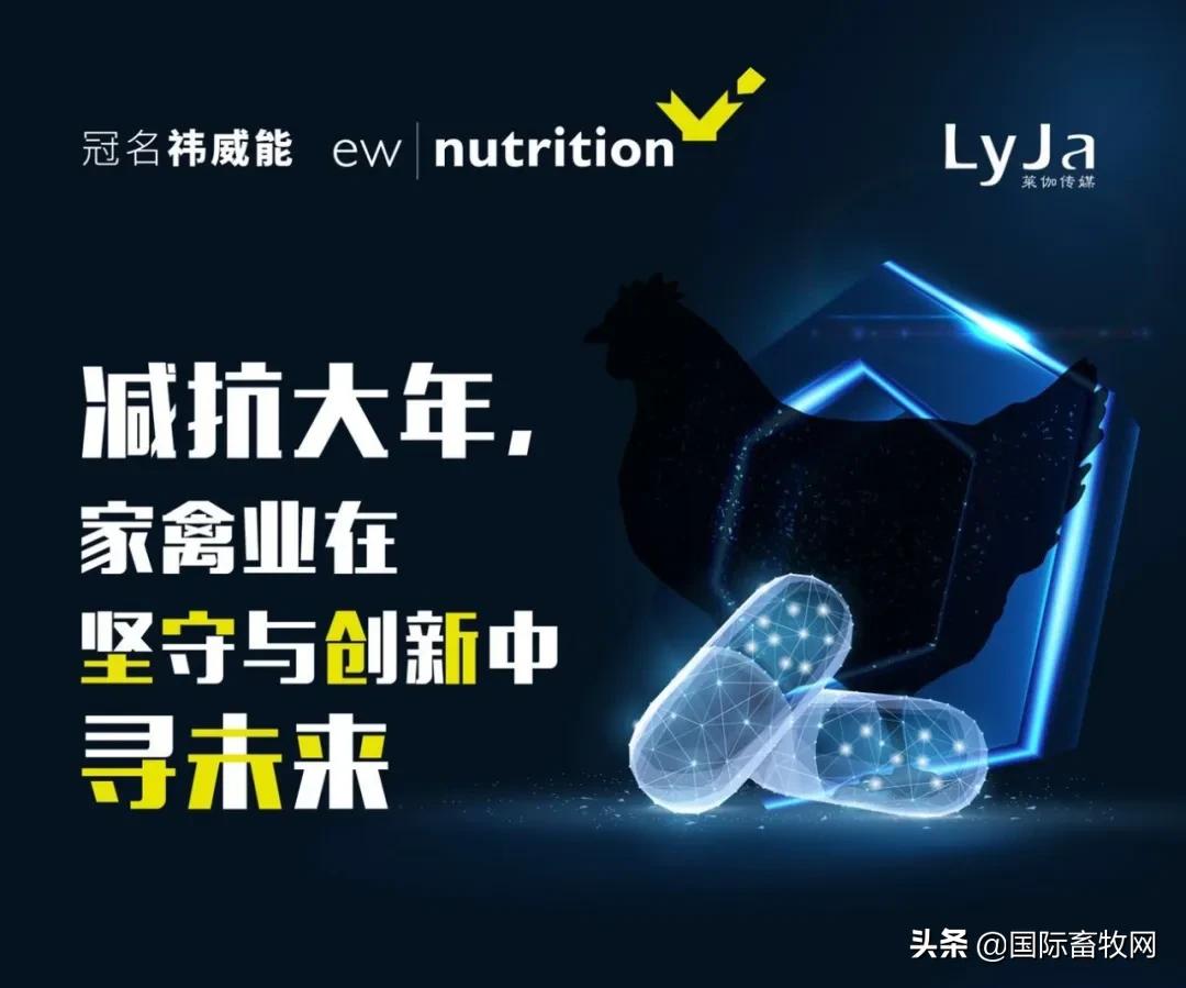 嘉吉无骨鸡块,正大无抗生鲜鸡