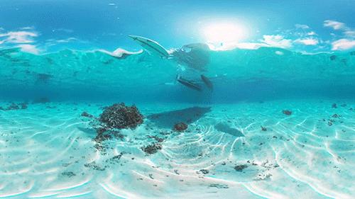 解封！大溪地7月15日起正式向国际游客开放