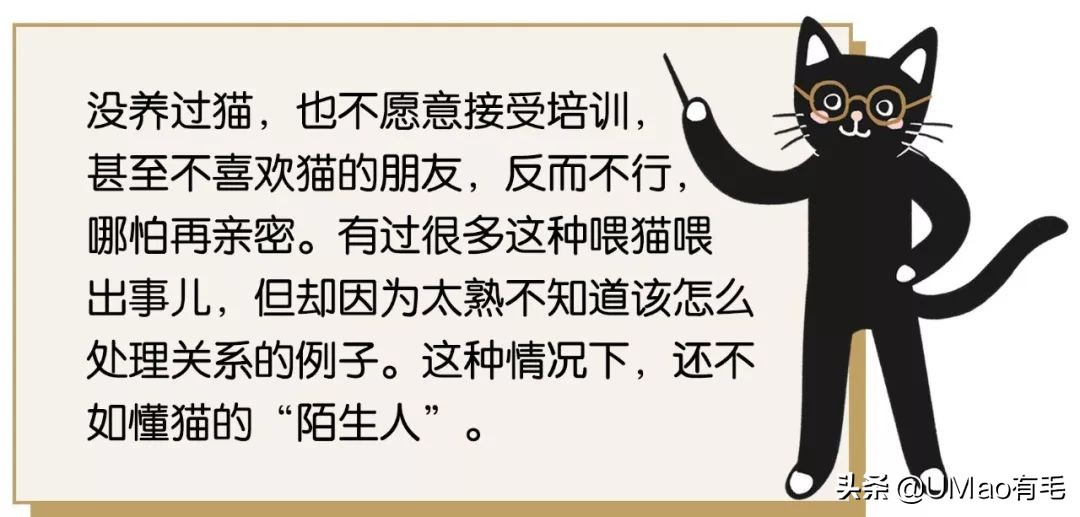 上门喂猫到底怎么样,上门喂猫一般多久一次