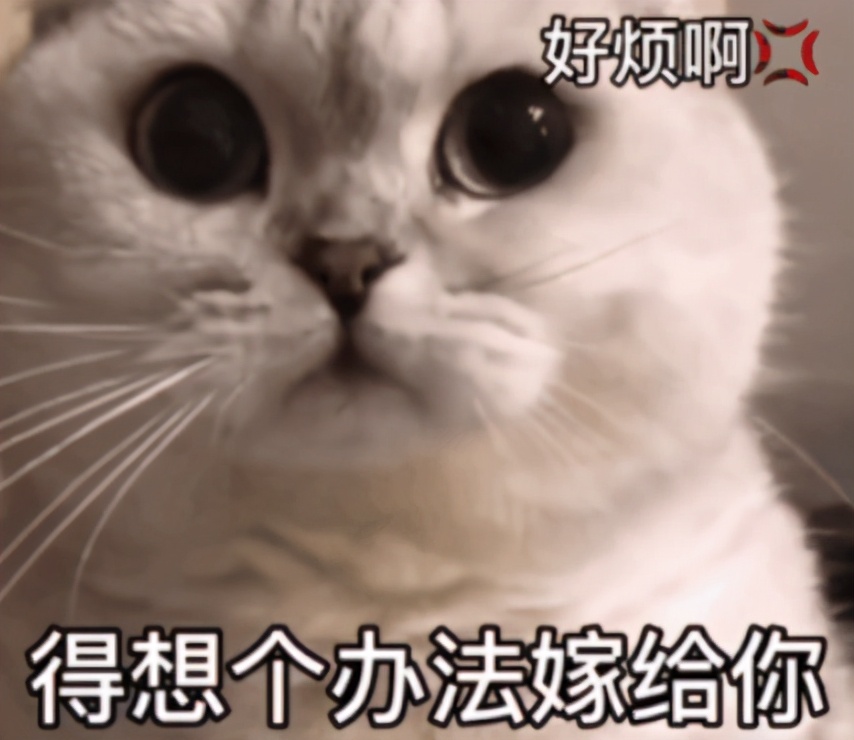 春日对对碰魅力香水,春日气息香水推荐