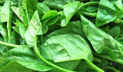 什么蔬菜补钙有利于小孩长高,6-12岁儿童营养长高蔬菜