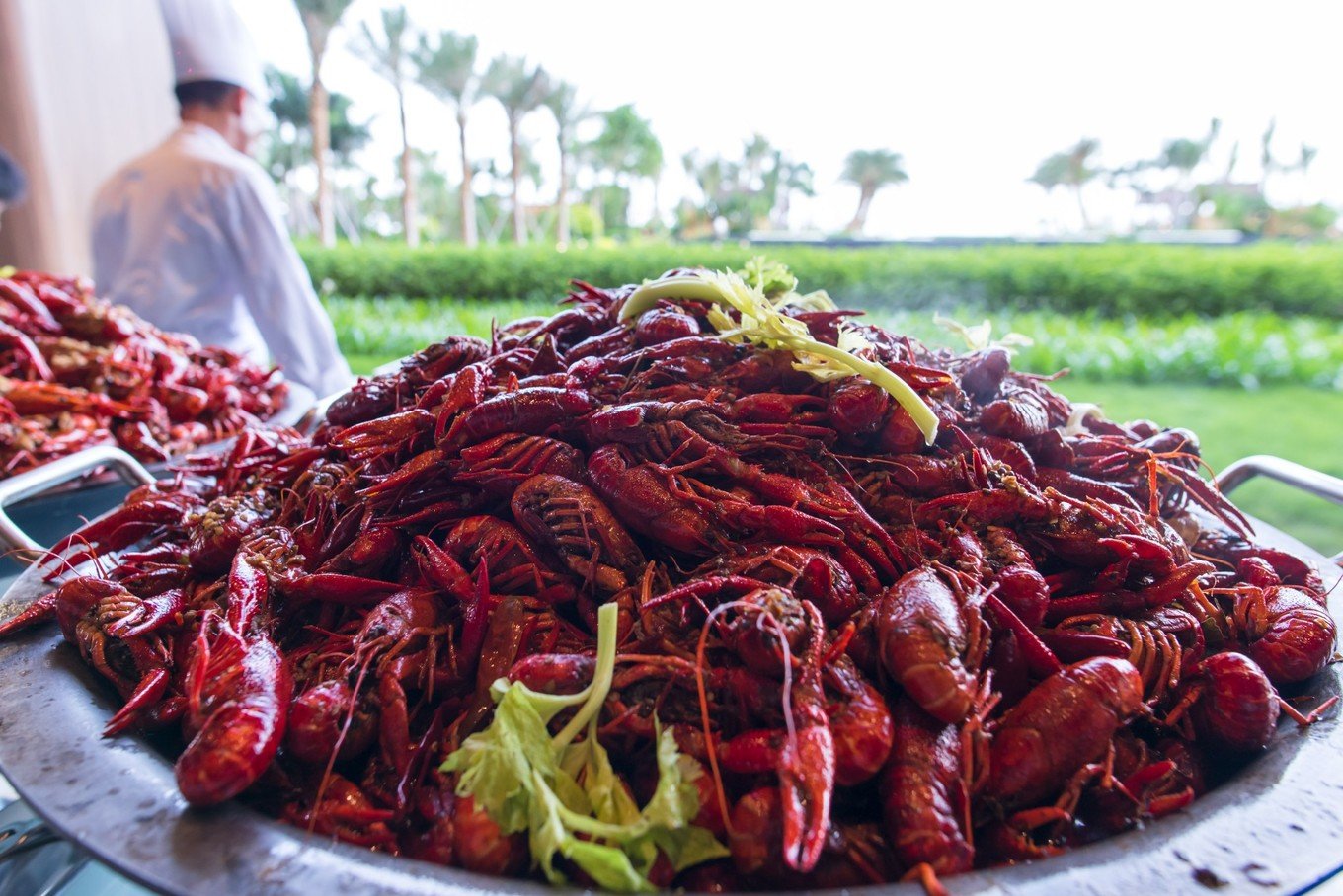 惠州沙滩度假,无边海景泳池