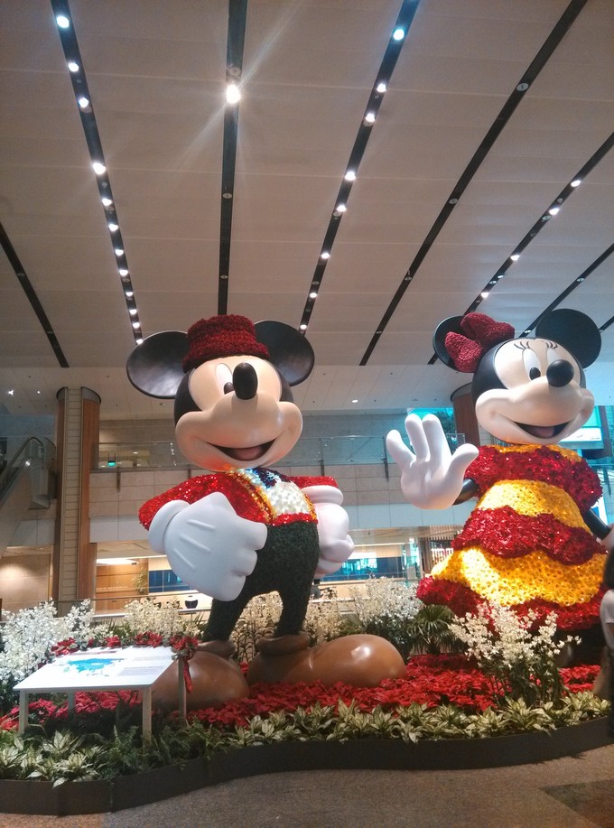 去新加坡必买的东西清单,想去新加坡买一辆车去哪个城市