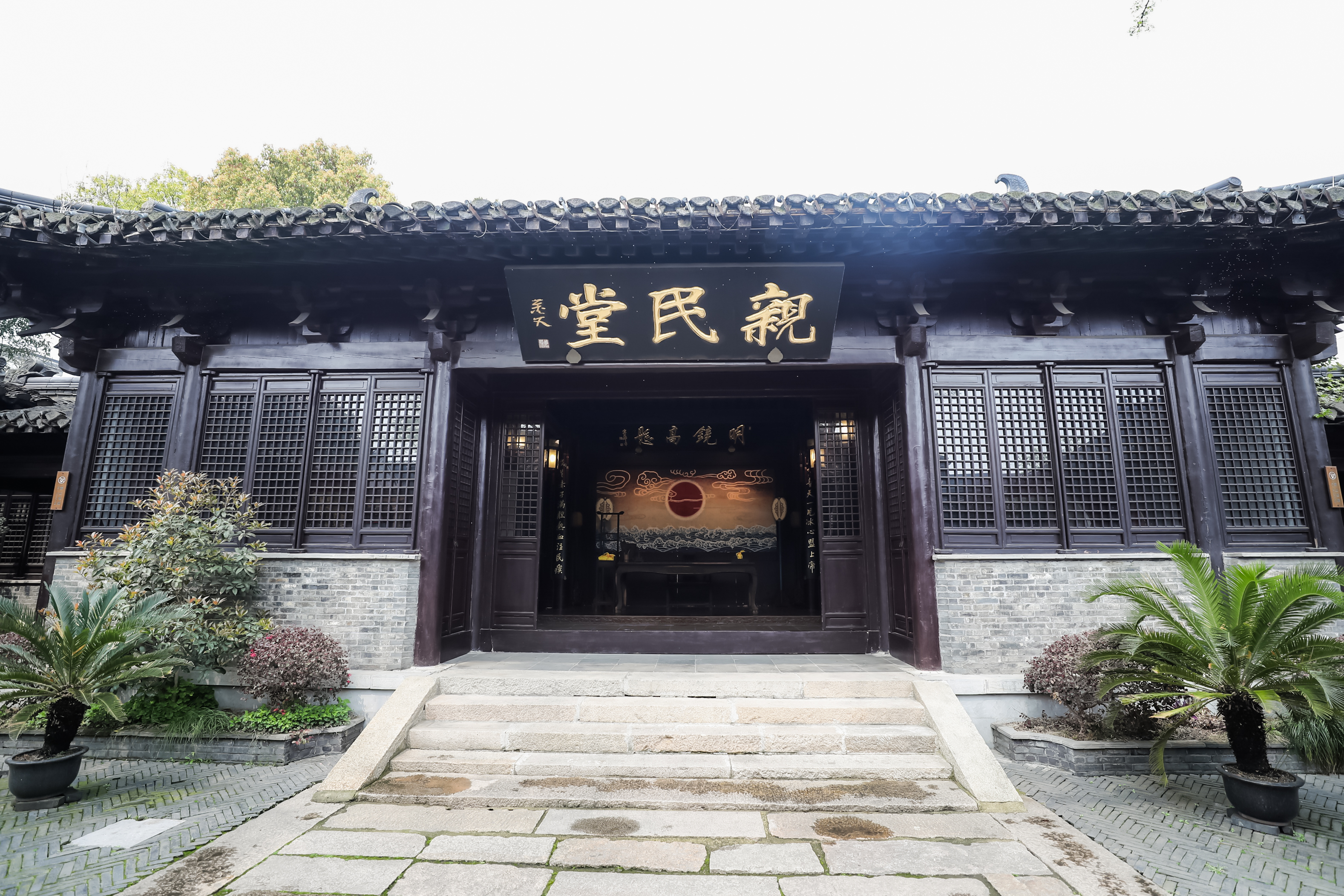 兴化看油菜花一日游,兴化千亩油菜花旅游