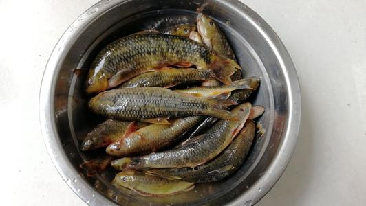 广西巴马长寿村真的可以长寿吗,广西巴马长寿村能养生是真还是假