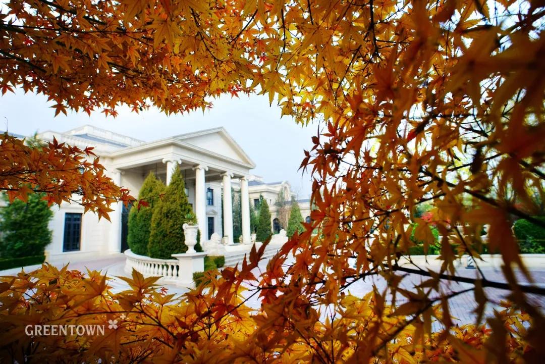 绿城印象南宁市江南区,绿城印象楼中楼