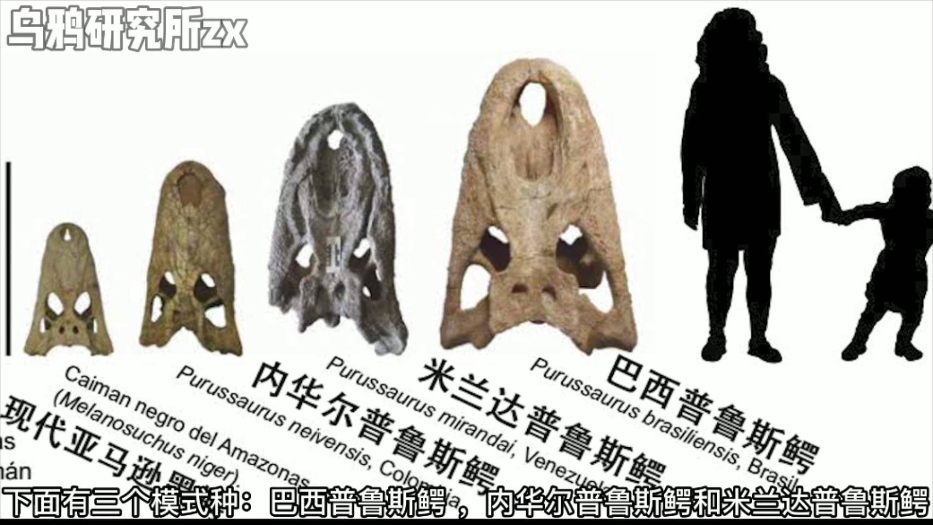 史前三大恐龙,远古三大巨鳄区别